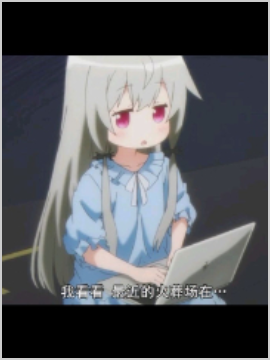 OplusInfoCollection_241223124604424.png