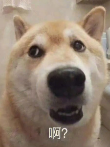 1001277084.png