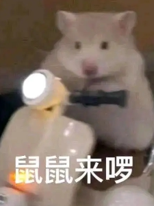 2ccac12bb63d73bb.png