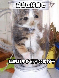 forum.png